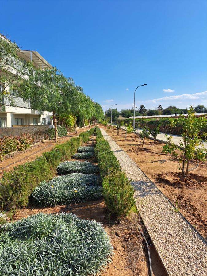 Carme At The Beach - Mythical Sands Paralimni Exterior photo